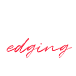 VRedging logo